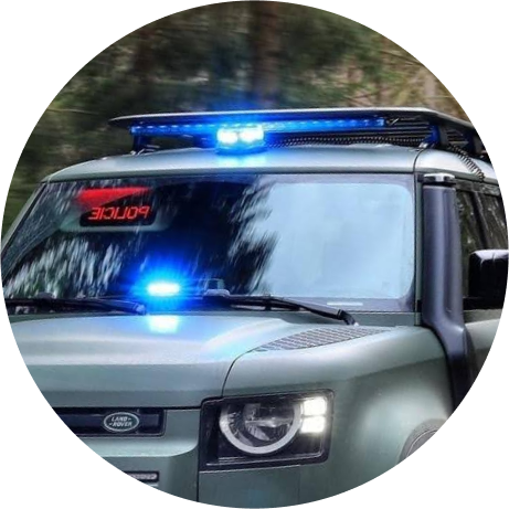 Holomý - Modrý program