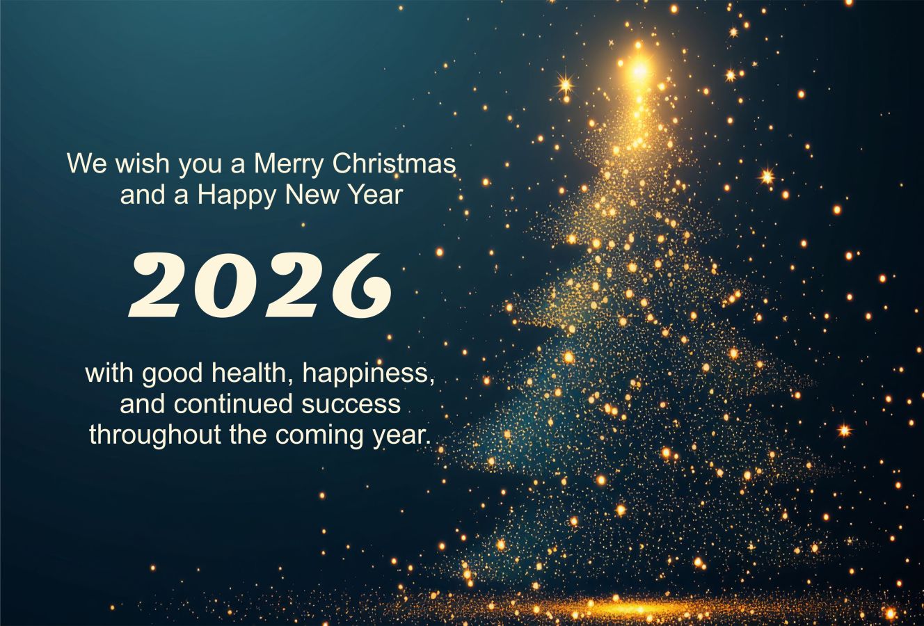 Holomý - Company Christmas Closure